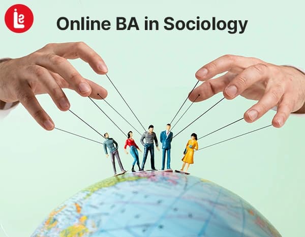 Online BA in Sociology