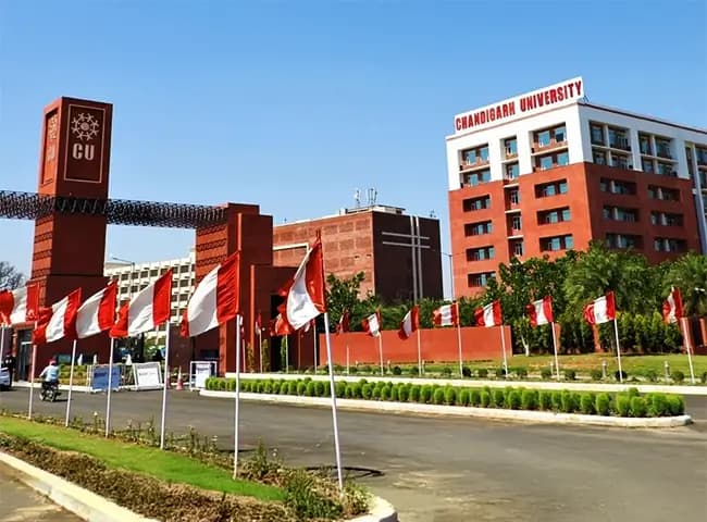 Chandigarh University Online Banner