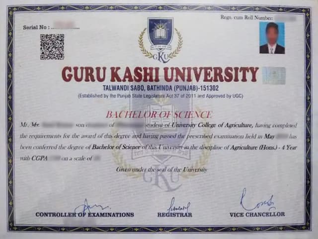 sample certificate